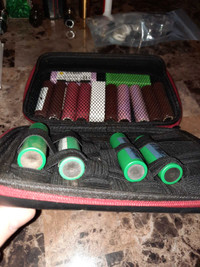 18650 batteries, charger and case