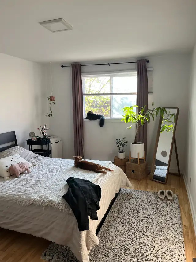 À LOUER - GRAND 4 1/2 LUMINEUX ROSEMONT - CESSION BAIL 1ER MARS