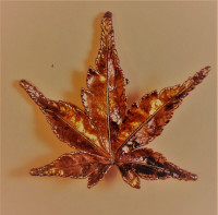 Real Leaf Brooch Covered in Copper