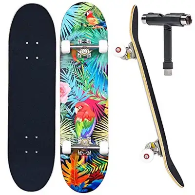 JECOLOS Pro Complete Skateboards for Beginners, View more