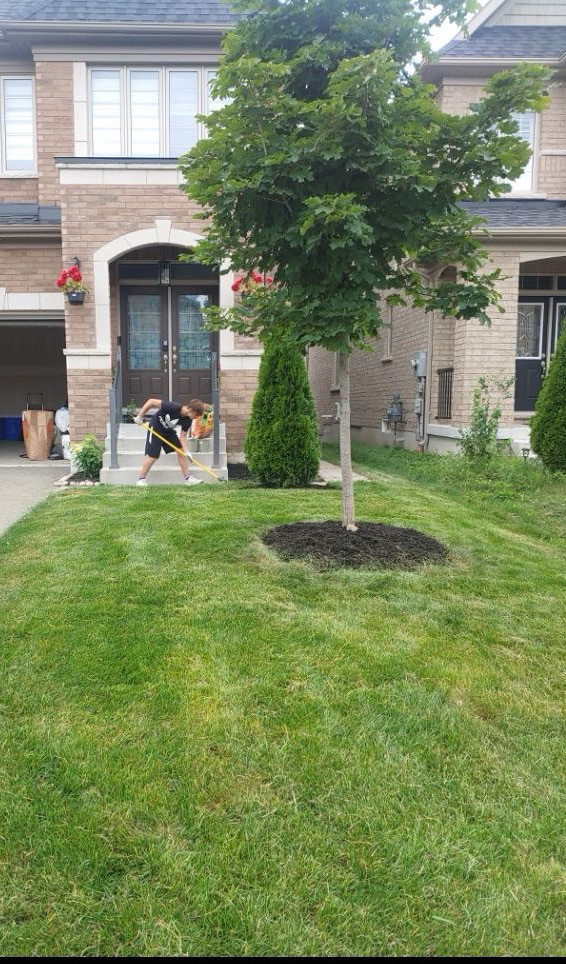 Landscaping business!! in Other in Oshawa / Durham Region - Image 4