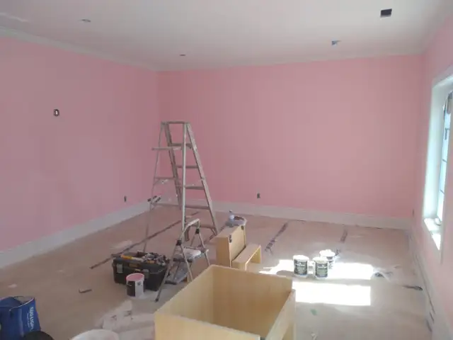 Paul the Painter - Professional Painting Services - Call Me!!63006659713667123