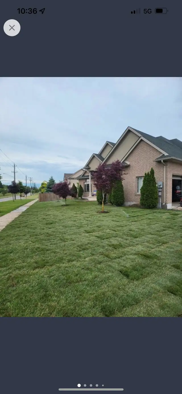Landscaping Services! NEW SOD62863241630849122