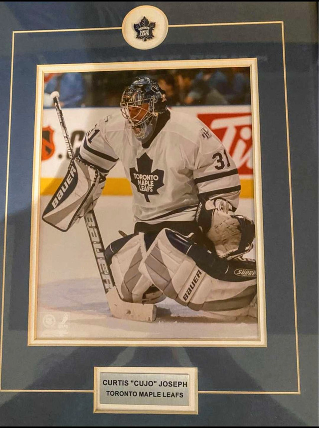 Curtis Joseph Toronto Maple Leafs Hockey Collector Frame 19”x16" in Arts & Collectibles in Hamilton - Image 2