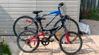 Kids / Youth Dual-Suspension Mountain Bike, 20-in