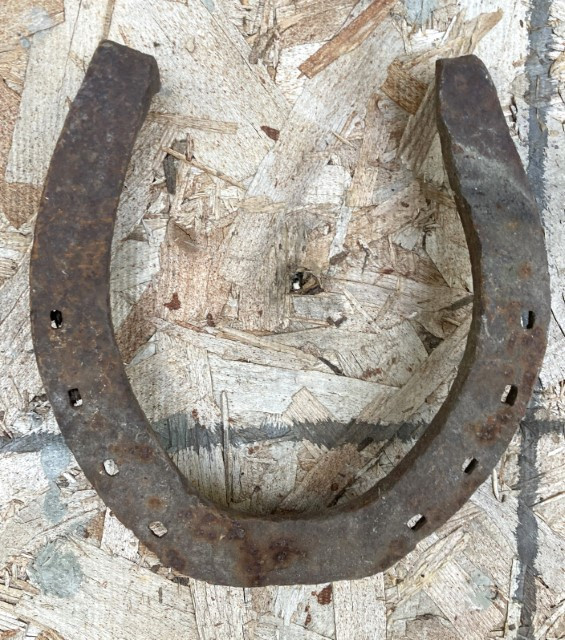 Horse Shoes in Other in Regina - Image 3