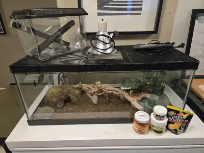 reptile aquarium and accessories , View more