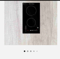 Induction cooktop built in (Table a cuisson (