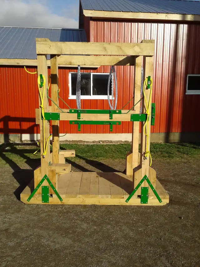 Horse shoeing  stocks in Horses & Ponies for Rehoming in Owen Sound - Image 4