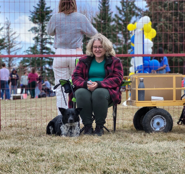 Mobile petting zoo and pony rides, we travel to your events! in Other in Lethbridge - Image 3