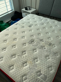 12 inch queen mattress for sale