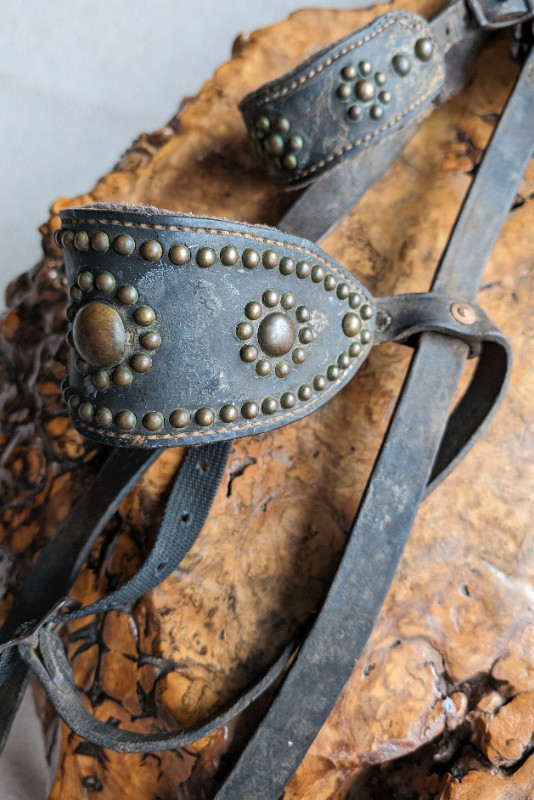 Antique dog leather and brass harness in Arts & Collectibles in Nanaimo - Image 2