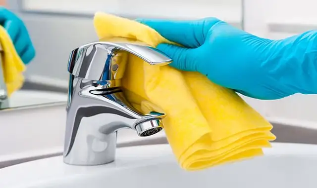 SPECIAL CLEANING $80