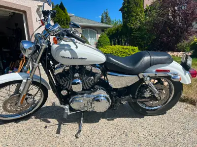 2005 Harley Davidson Sportster 1200 XL Custom*LOW KMS*EXTRAS* Beautiful WHITE with BLUE FLECKS in th...
