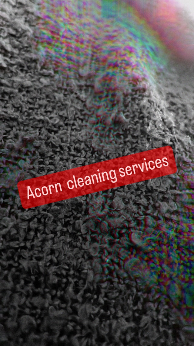 Acorn cleaning services Cleaners & Cleaning Mississauga / Peel
