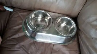 Cat/dog food bowls, View more