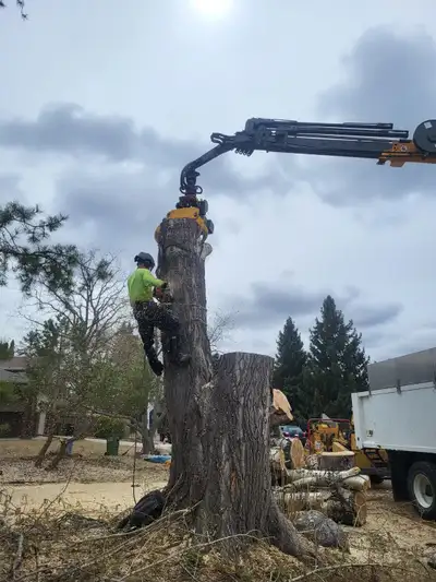 I own a local tree care company and am looking for an acreage willing to accept multiple loads of lo...
