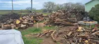 Huge amount of firewood 