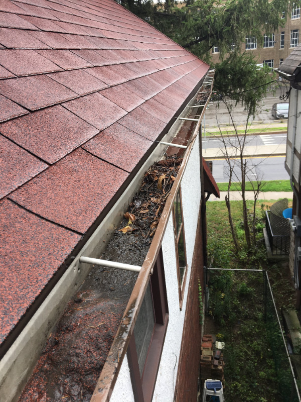 EAVESTROUGH / GUTTER CLEANING! STARTING FROM JUST $109! INSURED! in Lawn, Tree Maintenance & Eavestrough in Hamilton - Image 4