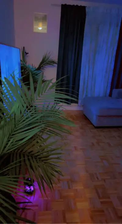 Grande chambre à louer dans un 4 1/2 Une très grande chambre est disponible dans mon appartement. Wi...