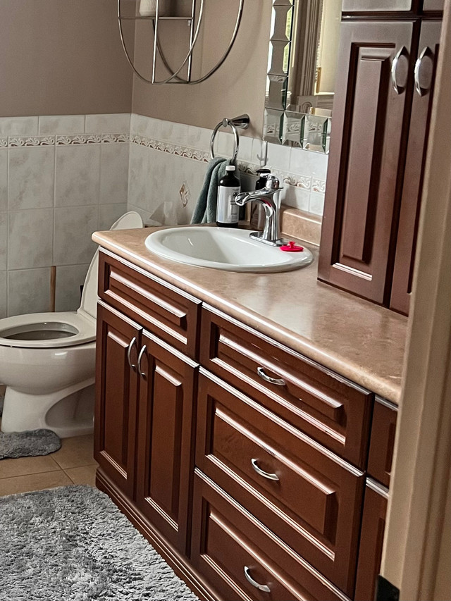 Bathroom Vanity & Cabinets  in Cabinets & Countertops in Windsor Region