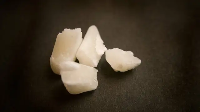 Amsterdam Sativa479100608709273602
