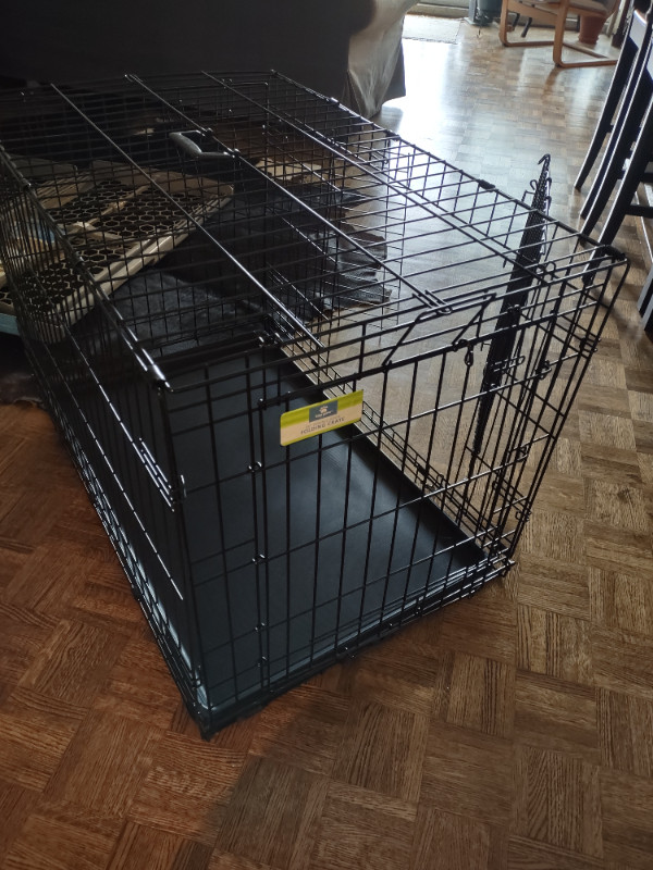 Top Paw® Double Door Folding Wire Dog Crate with Divider Panel