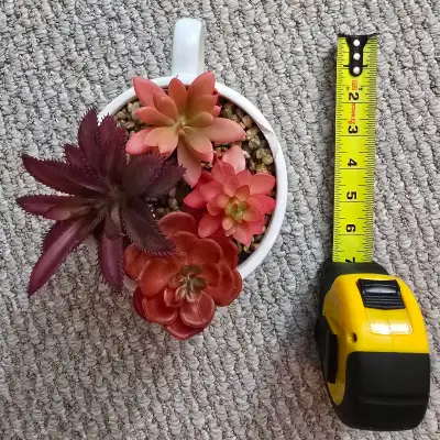 Artificial Succulents, View more