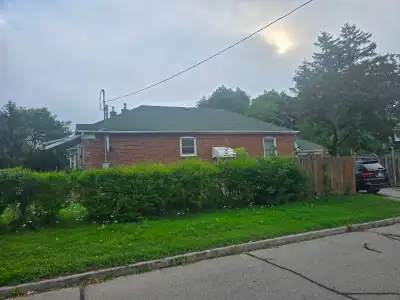 Furnished one bed room,very quiet area,2 mins walk to nopfrills,shoppers,grocery store,restaurant.in...