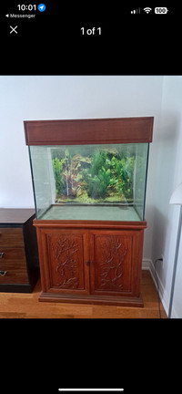 70 Gallon Aquarium with Stand