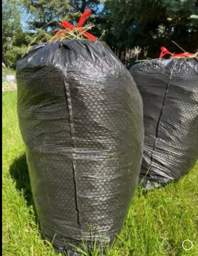 Bags of Timothy hay in Animal & Pet Services in Calgary - Image 2