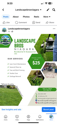 Lawns, Shrubs and more