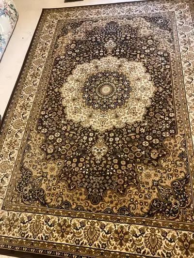 Shampoo Steam Area Rugs Runners $40, View more