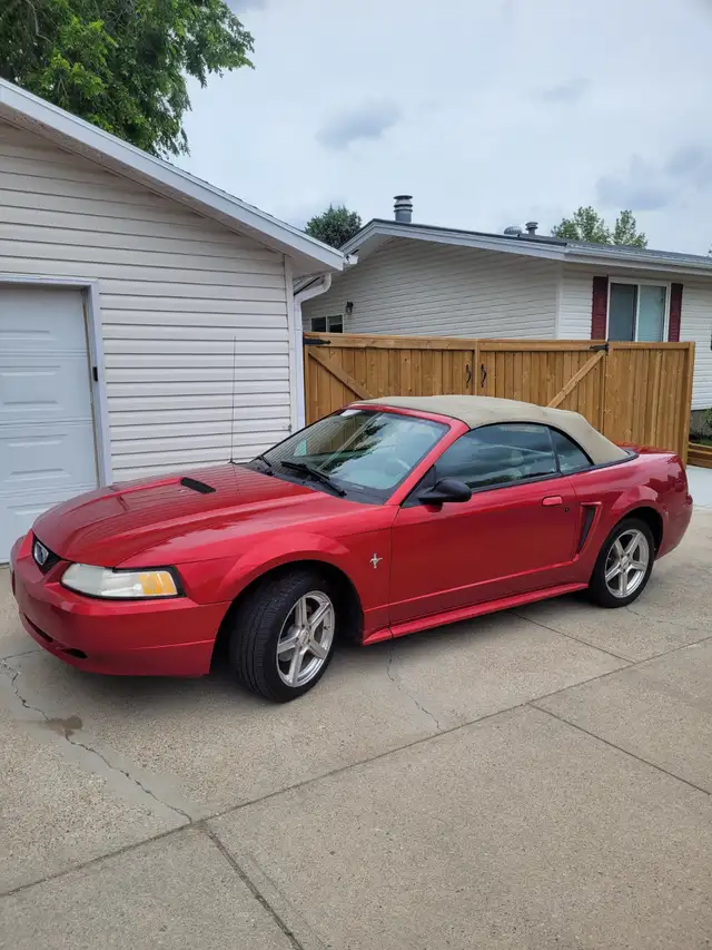 2000 mustang convertible in Cars & Trucks in Lethbridge - Image 2