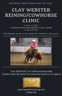 2 day reining/cowhorse clinic with Clay Webster