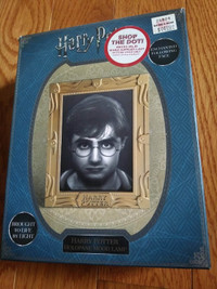 Harry Potter Holopane Mood Lamp