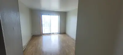 Apartment for rent, Fridge and Stove included Washer and Dryer Coin operated