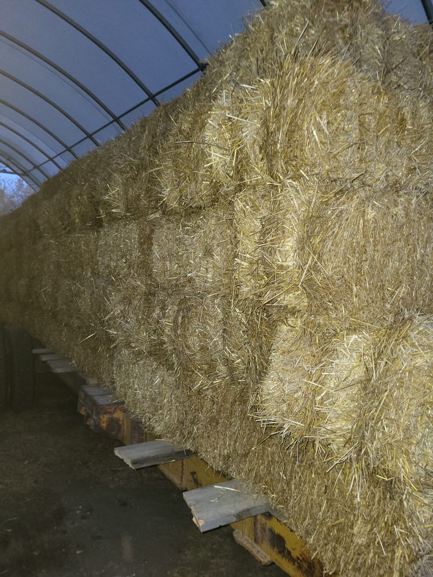 Small square straw bales | Livestock | Saskatoon | Free local ...