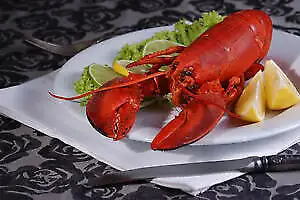 Available from August 23  Pointe du Chene / Parlee Beach/Shediac in New Brunswick in Canada - Image 5