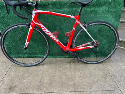 Wilier Triestina GTR Team Carbon Road Bike, View more