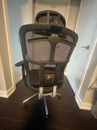 Ergonomic Office/Study Chair