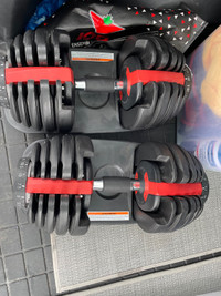 Dumbells - adjustable