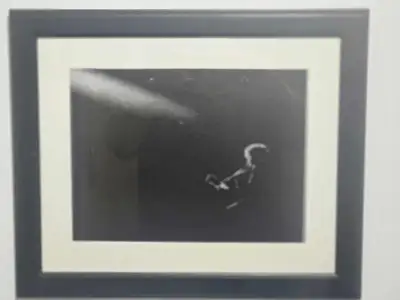 Framed Black and White Abstract Print of Bob dylan, View more