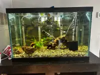 65 gallon aquarium + custom stand