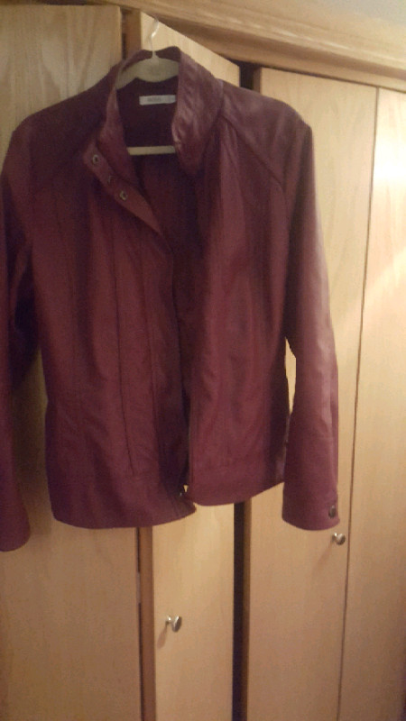 1 Leather Jacket and 4 Dresses.  Size 16 in Women's - Dresses & Skirts in Winnipeg