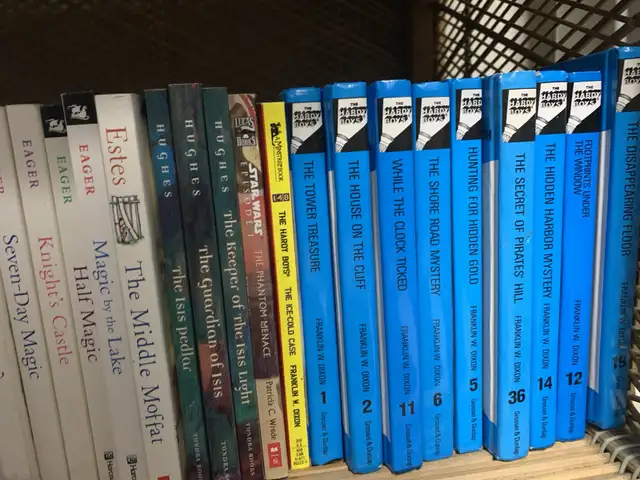 Children's Novels and Chapter Books, Over 100! in Children & Young Adult in Kingston - Image 7