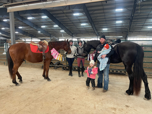 Horseback riding lessons in Equestrian & Livestock Accessories in Brantford