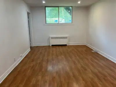 Appartement 3 1/2, libre maintenant