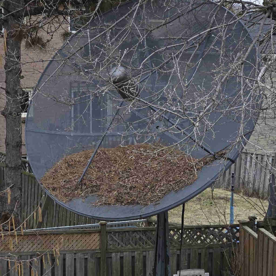 www.kijiji.ca