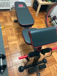 KingKang Workout Bench Adjustable Weight Great Condition